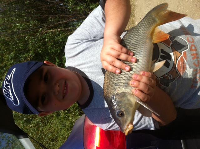 2012 - pescaru meu cel mare